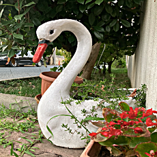 Ay Işığı Otel Ağva